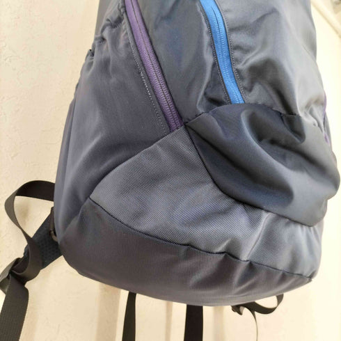 アークテリクス ARCTERYX 別注 MANTIS 26 マンティス 26 バックパック レディース